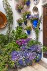 Centro District, Cordoba, Andalusia, Spain. Courtyard garden of a home Art Print